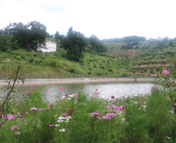 萬(wàn)州要建大唐主題文化公園，再現大